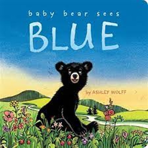 Children's Books - Baby Bear Sees Blue by Ashley Wolff