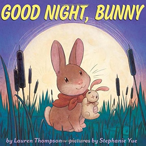 Children's Books - Good Night Bunny by Lauren Thompson