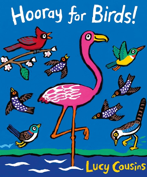 Children's Books - Hooray For Birds! by Lucy Cousins