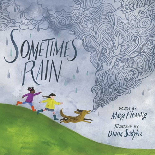 Children's Books - Sometimes Rain by Meg Fleming